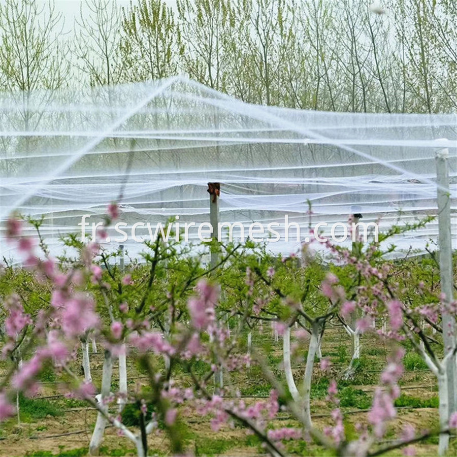 White Uv Bird Net